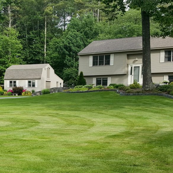 Greens Maintenance